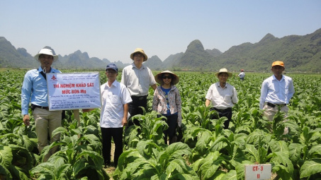 Viện Thuốc lá: Hướng tới trình độ Khoa học công nghệ hàng đầu tại Đông Nam Á