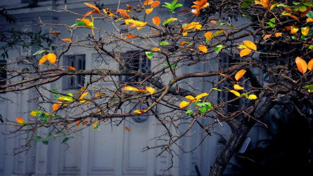 Thời tiết 7-12: Hà Nội đêm và sáng trời rét, ngày nắng hanh khô