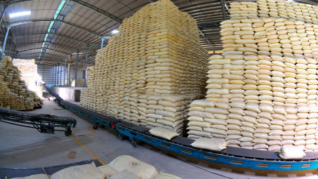 Gạo Việt Nam được các nhà nhập khẩu thu mua với giá cao