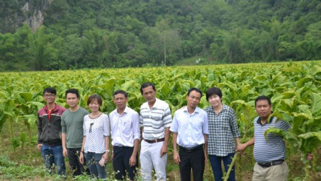 Tính bền vững và sự đổi mới trong ngành Thuốc lá