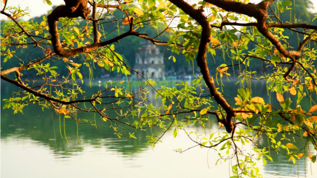 Thời tiết 12-2: Miền Bắc trời ấm dần, trưa chiều hửng nắng