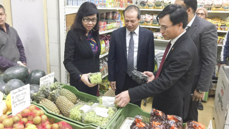 Tác động do dịch Covid-19: Mở rộng tiêu thụ nông, thủy sản tại thị trường Ấn Độ