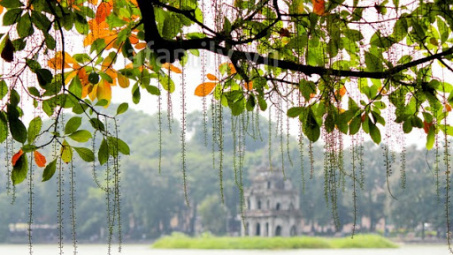 Thời tiết 17-2: Bắc bộ tiếp tục rét đậm, trời khô ráo ngày đầu tuần