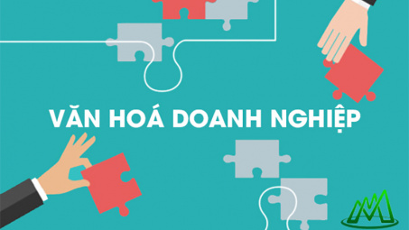 Định vị mô hình văn hóa doanh nghiệp tại Tập đoàn Hoa Sen (giai đoạn 2020 - 2022)