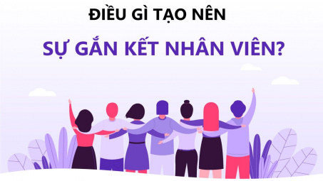 Mối quan hệ giữa Gắn kết - Trung thành - Hiệu quả tổ chức ở Ngân hàng Nông nghiệp và Phát triển Nông thôn chi nhánh Tỉnh Bình Thuận