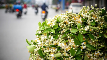 Thời tiết 24-2: Bắc bộ nồm ẩm, Nam bộ nắng gắt