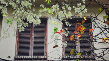 Thời tiết 25-2: Bắc bộ duy trì tiết trời nắng ấm