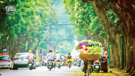 Thời tiết 26-2: Miền Bắc nắng đẹp, nền nhiệt tăng