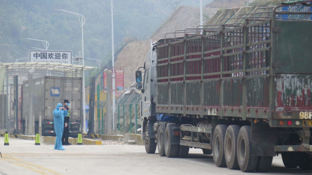 Xuất khẩu nông sản sang Trung Quốc vẫn chậm, hàng chờ ngày càng tăng