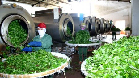 Xác định năng suất nhân tố tổng hợp của các doanh nghiệp thuộc các tỉnh miền núi phía Bắc