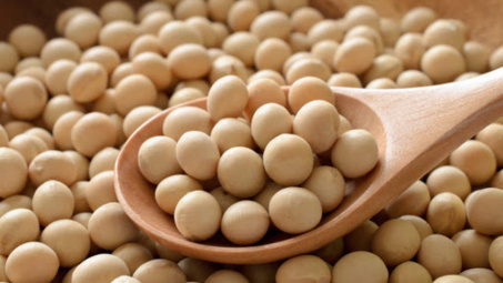 Đậu tương tăng giá phiên thứ hai liên tiếp sau khi Hoa Kỳ bán lượng lớn đậu tương sang Ai Cập