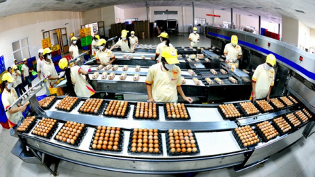 Chính thức công bố hạn ngạch thuế quan nhập khẩu muối, trứng gia cầm năm 2020