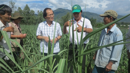 Thủ tướng đưa 9 giải pháp hỗ trợ cho ngành mía đường thực hiện cam kết Atiga