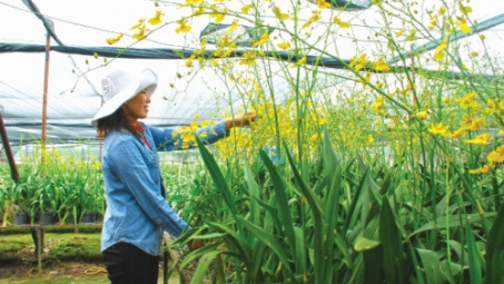 Chính sách giảm nghèo bền vững: Một số kết quả và vấn đề đặt ra