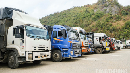 Thông quan tích cực, 338 xe nông sản, trái cây xuất qua Lạng Sơn ngày 12/3