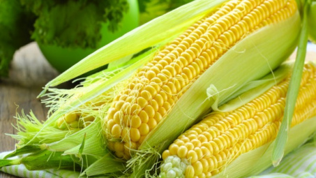 Mô hình hóa sự ảnh hưởng của các yếu tố nhiệt độ, hoạt độ nước lên sự sinh trưởng của Fusarium Napiforme ứng dụng trong bảo quản ngô