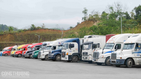 Xuất nhập khẩu khả quan, 1.674 xe nông sản, trái cây được thông quan