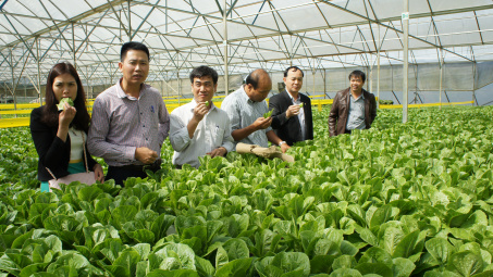 Hỗ trợ hợp tác xã phát triển