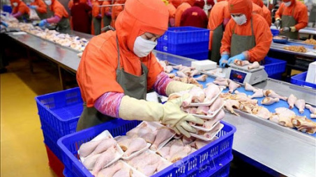 Chính thức được cấp phép xuất khẩu thịt gà chế biến sang Nga