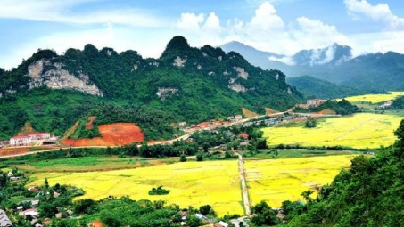 Phân bón Văn Điển: Thương hiệu đậm dấu ấn nơi vùng đất Tuyên Quang