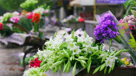 Thời tiết 26-3: Hà Nội sáng sớm nhiều mây, trưa chiều hửng nắng