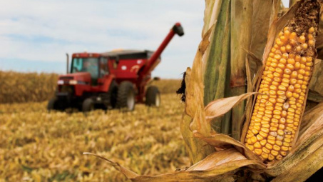 Diễn biến giá nông sản thế giới ngày 25/3