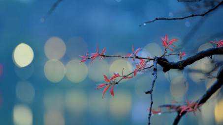 Thời tiết 28-3: Ảnh hưởng không khí lạnh, Bắc bộ trời chuyển mát, đề phòng mưa dông