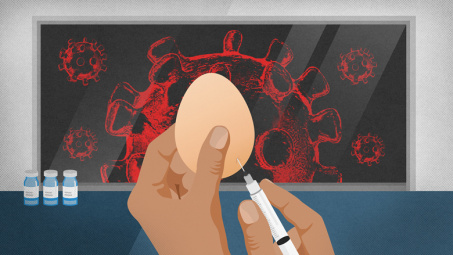 Mỹ sử dụng trứng gà để sản xuất hàng triệu liều vắc-xin cúm nhưng không có tác dụng với covid-19