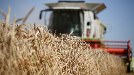 Giá nông sản giảm mạnh vì tác động dịch virus Covid-19