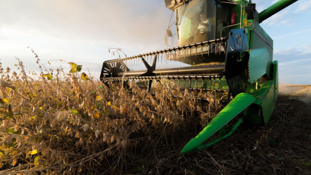 Diễn biến giá nông sản thế giới ngày 1/4