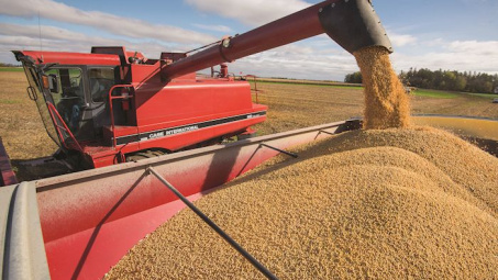 Diễn biến giá nông sản thế giới ngày 13/4