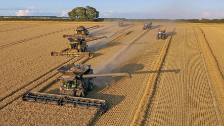 Diễn biến giá nông sản thế giới ngày 17/4