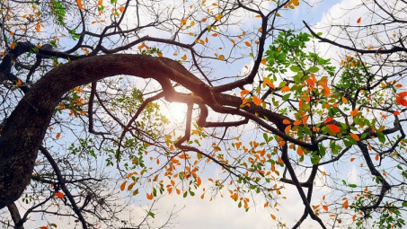 Thời tiết 21-4: Bắc bộ nắng nóng trên diện rộng