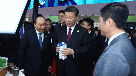 Liên tiếp nhiều sản phẩm sữa Việt Nam được cấp mã giao dịch xuất khẩu sang Trung Quốc
