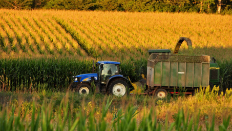 Diễn biến giá nông sản thế giới ngày 22/4