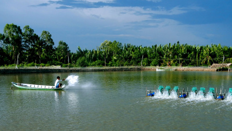 Xuất khẩu thủy sản tăng tốc đầu tư vào nguyên liệu để đón đầu thị trường phục hồi