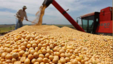 Diễn biến giá nông sản thế giới ngày 24/4