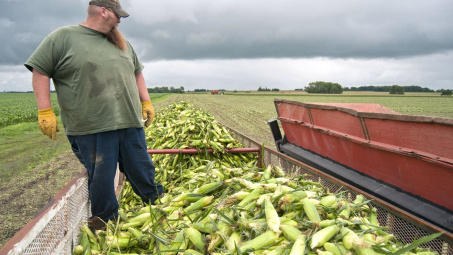 Diễn biến giá nông sản thế giới ngày 25/4