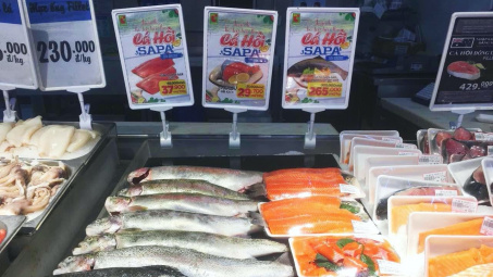 Cá hồi Sapa "ngược dòng" về Thủ đô Hà Nội, có mặt tại Big C từ 25/4