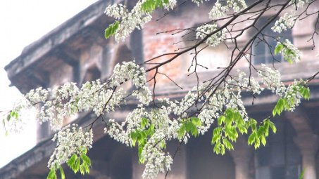 Thời tiết 26-4: Miền Bắc tiếp tục mưa, rét