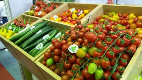 Phát triển chương trình đào tạo hỗ trợ doanh nghiệp nhỏ và vừa xuất khẩu nông sản Việt Nam đạt tiêu chuẩn quản lý an toàn thưc phẩm ISO 22000