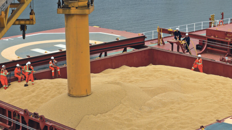 Diễn biến giá nông sản thế giới ngày 28/4