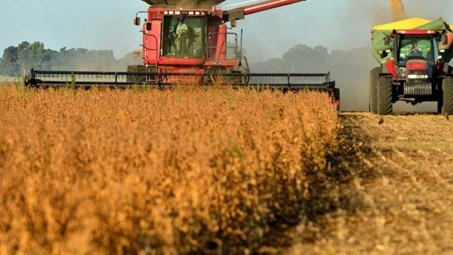 Diễn biến giá nông sản thế giới ngày 6/4