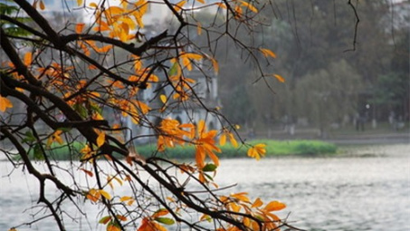 Thời tiết 9-4: Bắc bộ giảm mây, nền nhiệt tăng nhẹ