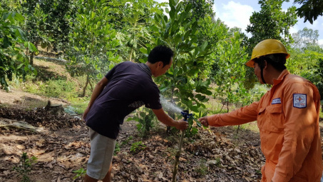 PC Trà Vinh: Hiện thực hóa ước mơ “đưa điện ra đảo”