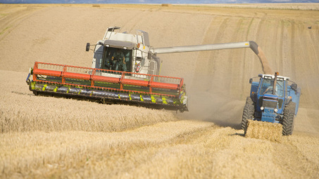 Diễn biến giá nông sản thế giới ngày 8/4