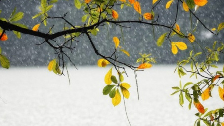 Thời tiết 13-5: Bắc bộ chiều tối có dông, Nam bộ tiếp tục nắng nóng