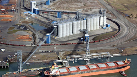 Giá ngô chịu áp lực giảm, dự báo sản lượng ngô của Hoa Kỳ chạm mức cao kỷ lục