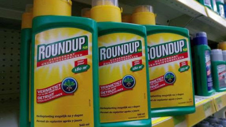Thuốc bảo vệ thực vật chứa hoạt chất glyphosate chỉ được buôn bán, sử dụng đến ngày 30/6/2021