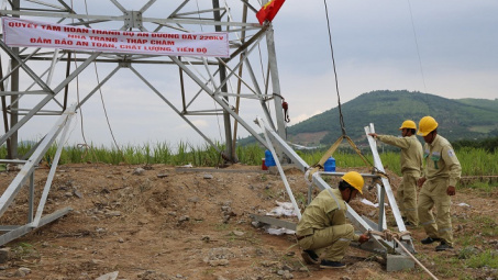 Đường dây 220kV Nha Trang - Tháp Chàm còn vướng bồi thường giải phóng mặt bằng và chuyển đổi đất rừng